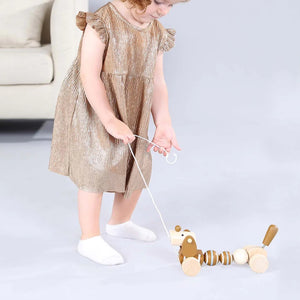 Adnil LAND PULL ALONG PUPPY からだをくねくねさせながらついてくる プル アロング パピー プルトイ 木のおもちゃ アドニルランド