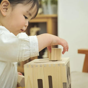 IKONIH ドロップボックス 型はめおもちゃ 国産ひのき 無塗装 アイコニー