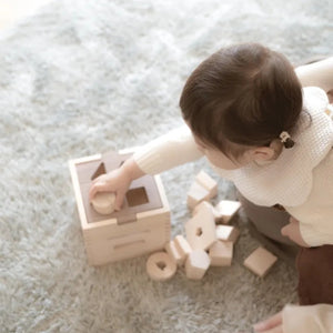 IKONIH ドロップボックス 型はめおもちゃ 国産ひのき 無塗装 アイコニー