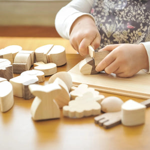 IKONIH ひのきのおもちゃ 食材セット Food set アイコニー