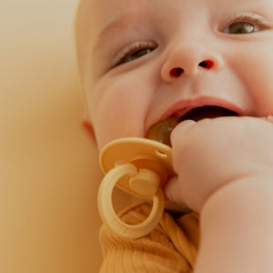 BIBS おしゃぶり2個入 天然ゴム 北欧 サイズ 1 サイズ 2 ビブス