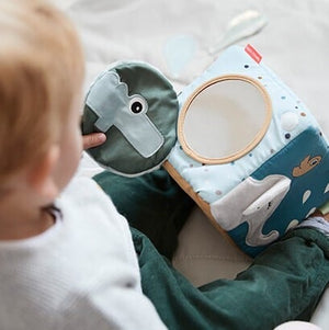 Done by Deer 布製 仕掛けおもちゃ ディスカバリーキューブ ディアフレンズ カラーミックス 2BD-4823137 ダンバイディア