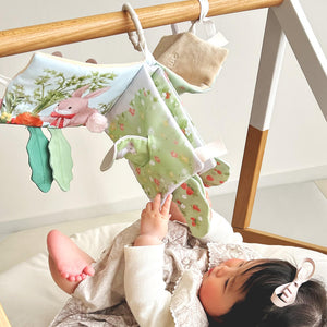 amanoppo えほんとぬいぐるみのセット うさぎさんとはりねずみくん 出産祝いにおすすめ3点ギフトセット あまのっぽ